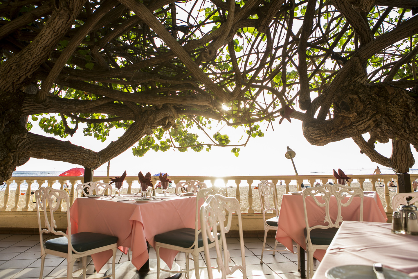 THE NEW OTANI KAIMANA BEACH HAU TREE LANAI